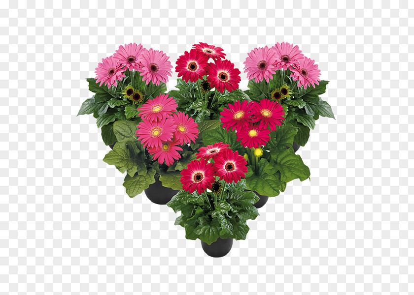 Flower Bouquet Birthday Gift Cut Flowers PNG