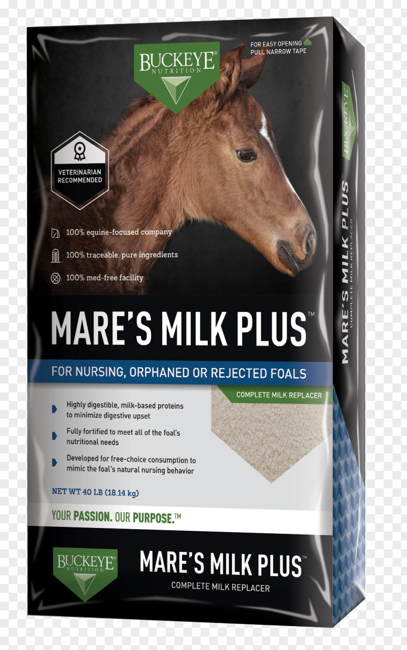 Horse Mare Milk Dietary Supplement Nutrition PNG
