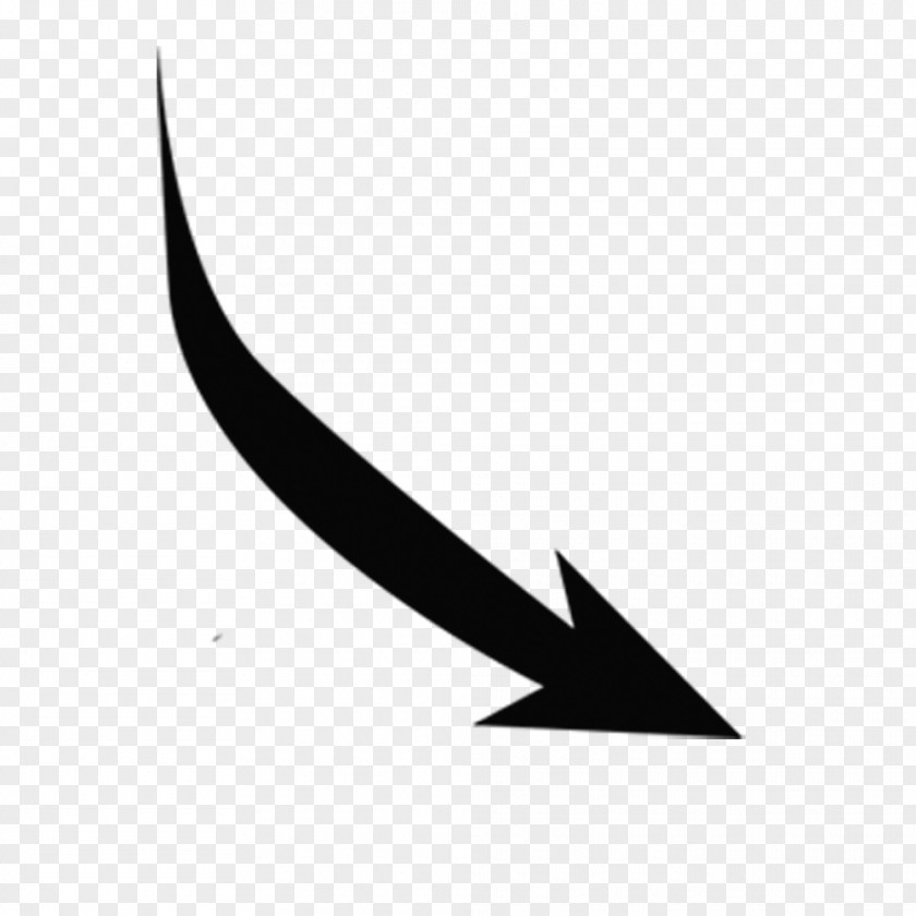 Line Point Angle Leaf White PNG
