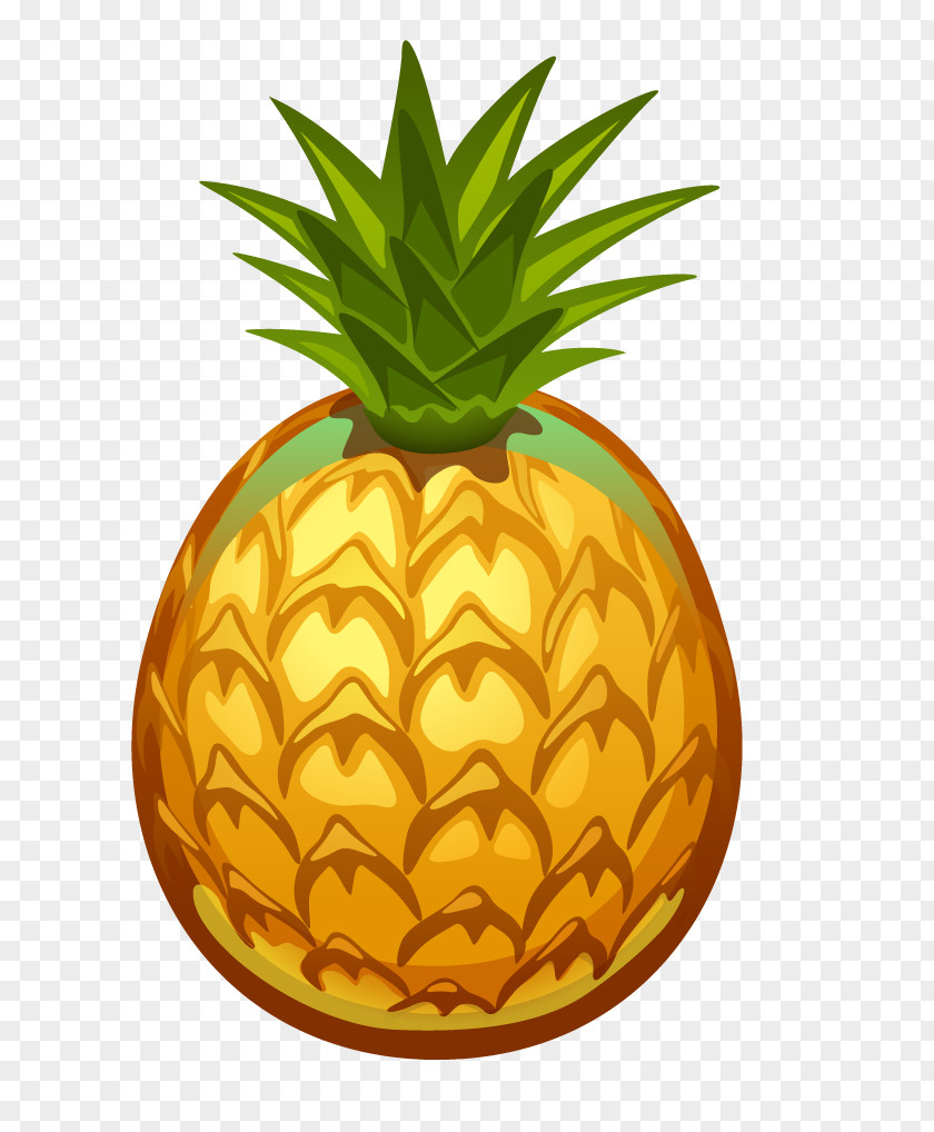 Pineapple Drawing Juice Fruit Sketch PNG