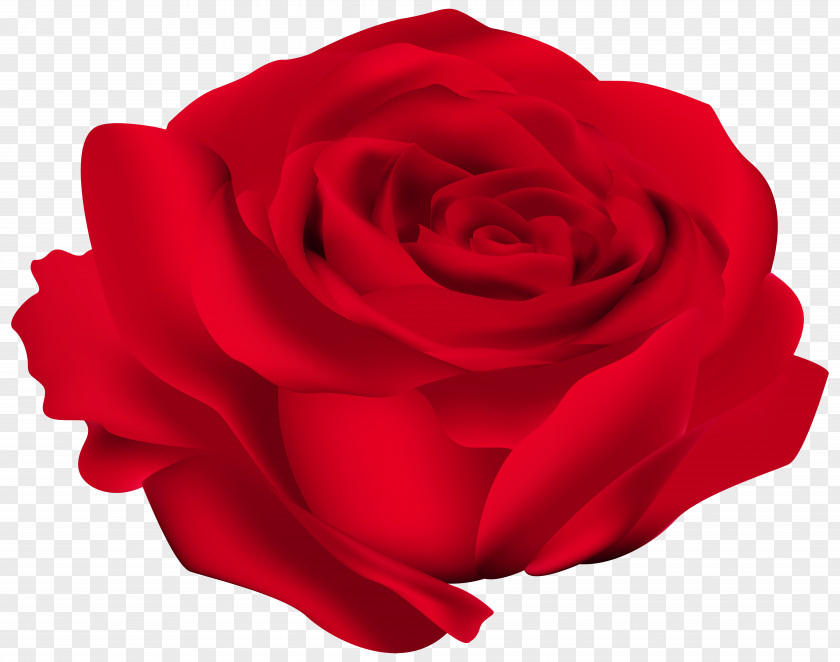 Red Rose Flower Image Clip Art PNG