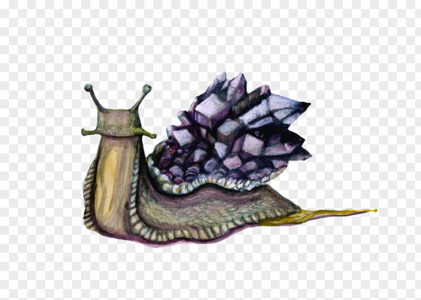 Snail Purple PNG