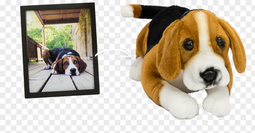 Stuffed Animal Beagle Treeing Walker Coonhound English Foxhound Harrier Finnish Hound PNG