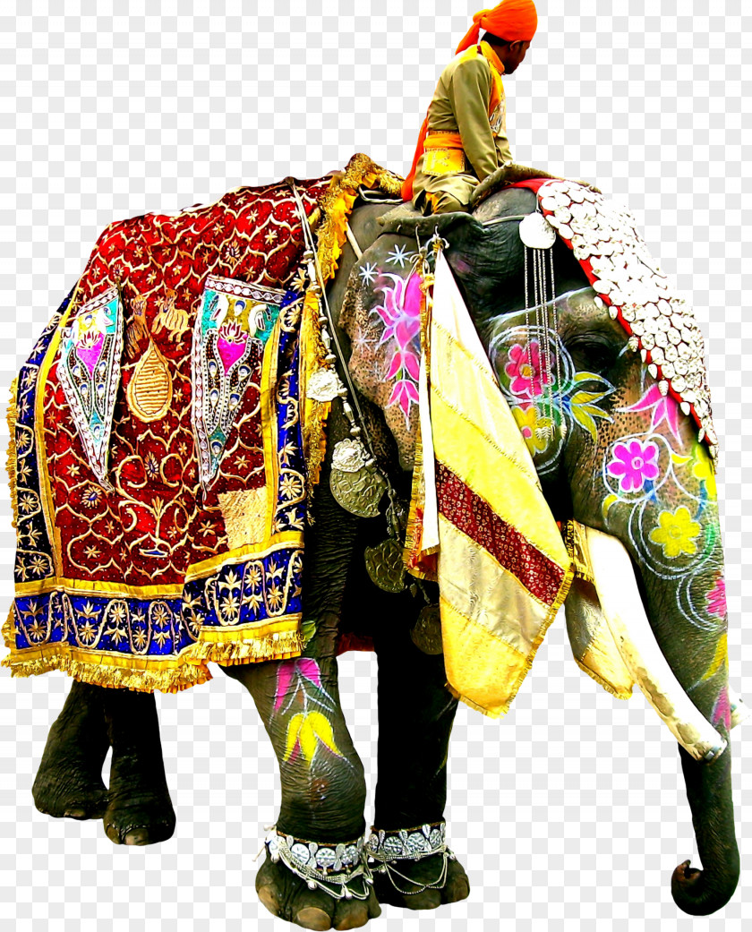 Tamilnadu Elephant Festival Indian African PNG