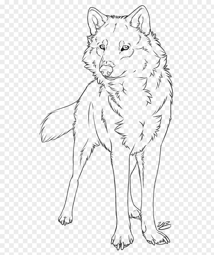 Wolf Tattoo Gray Line Art Drawing Painting Sketch PNG