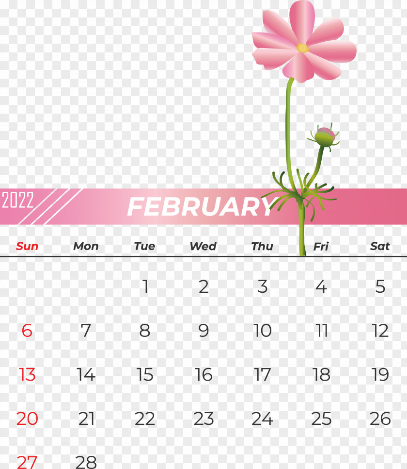 Calendar Flower Line Font Petal PNG
