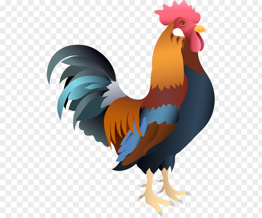 Chicken Rooster Clip Art PNG