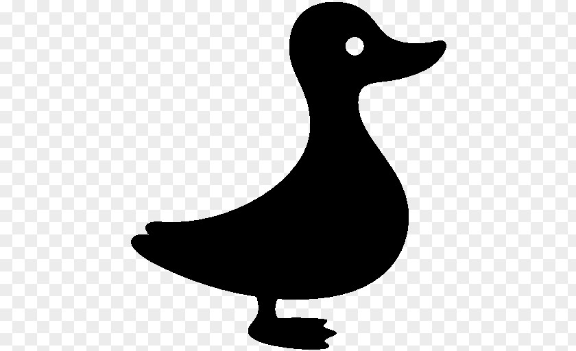 Duck Donald Mallard Download PNG