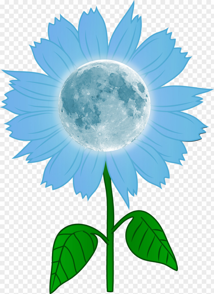 Floral Moon Clip Art Common Sunflower Image Vector Graphics PNG