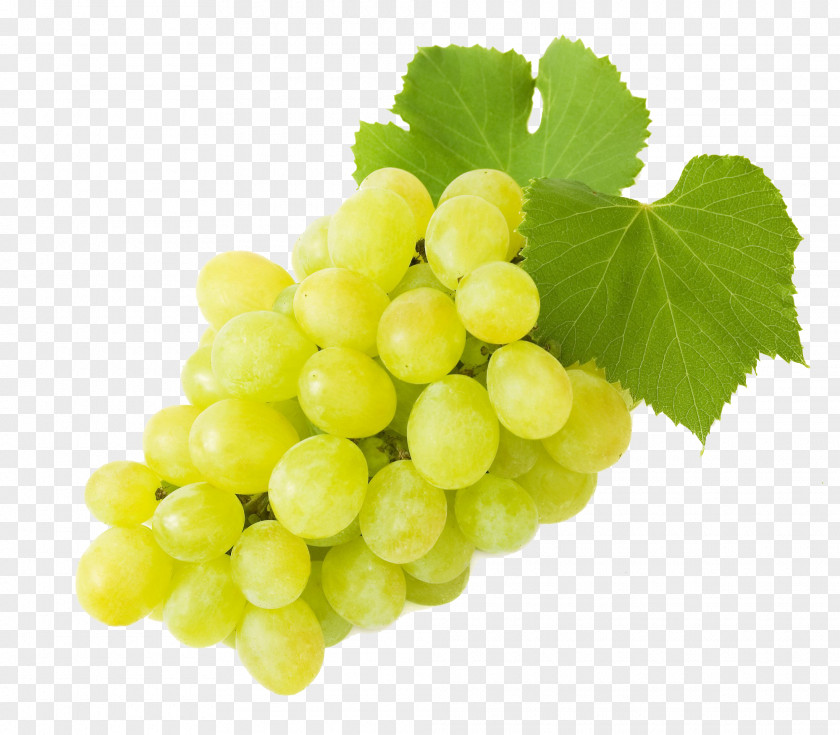 Juice Grape Common Vine Flavor PNG