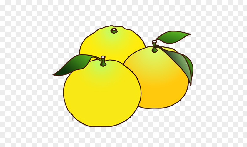 Lemon Citron Yellow Leaf Yuzu PNG