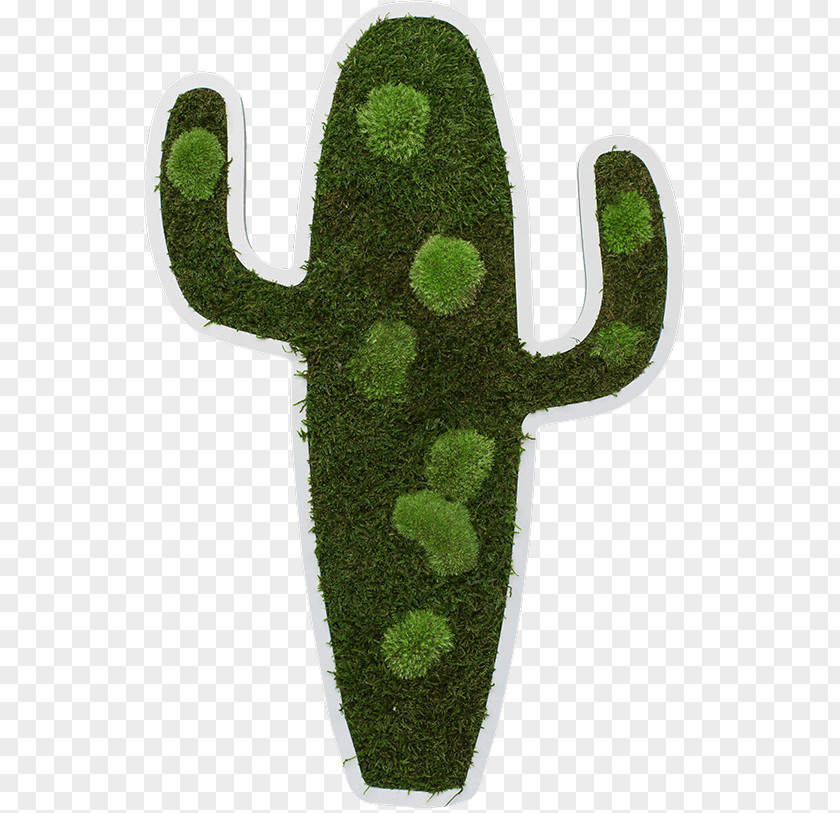Moss Pictogram Forest Ruler Drawing Centimeter PNG