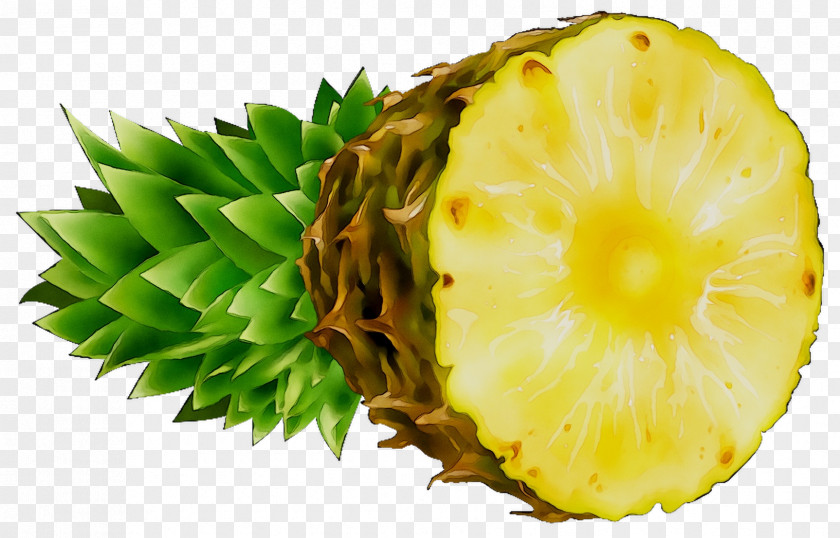 Pineapple Miscarriage Unintended Pregnancy Abortion PNG