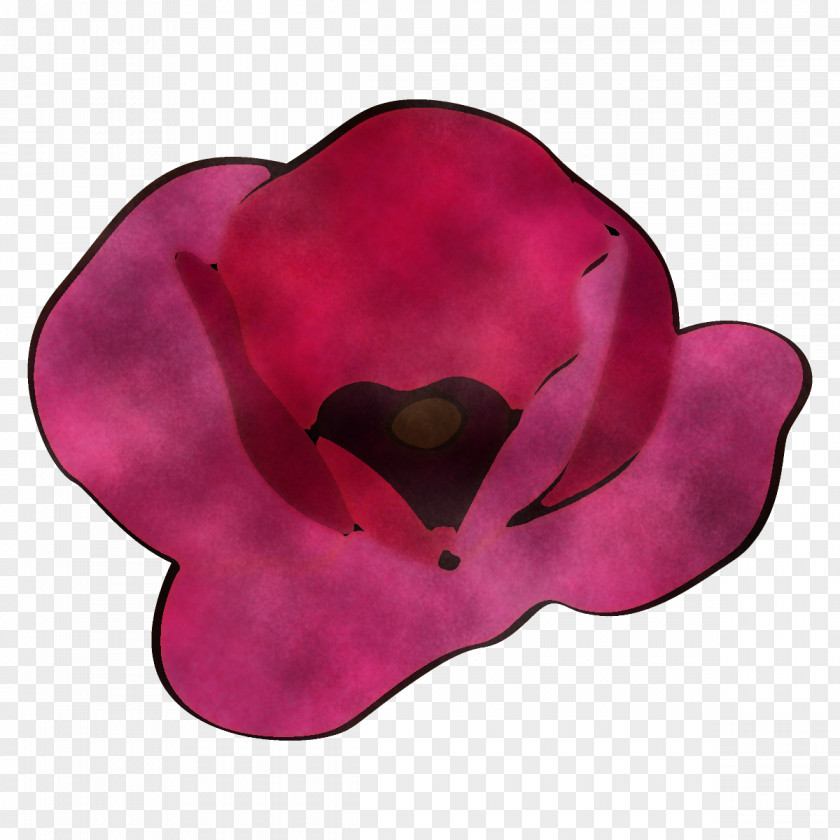 Poppy Flower PNG