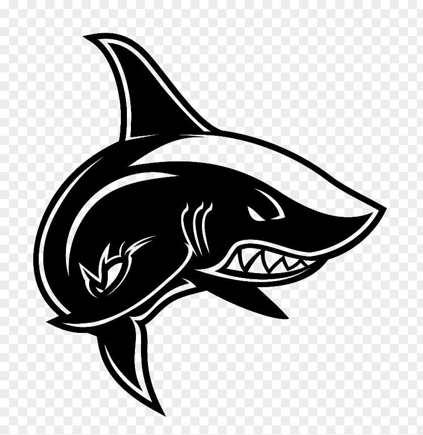 Shark Tiger Logo United States PNG