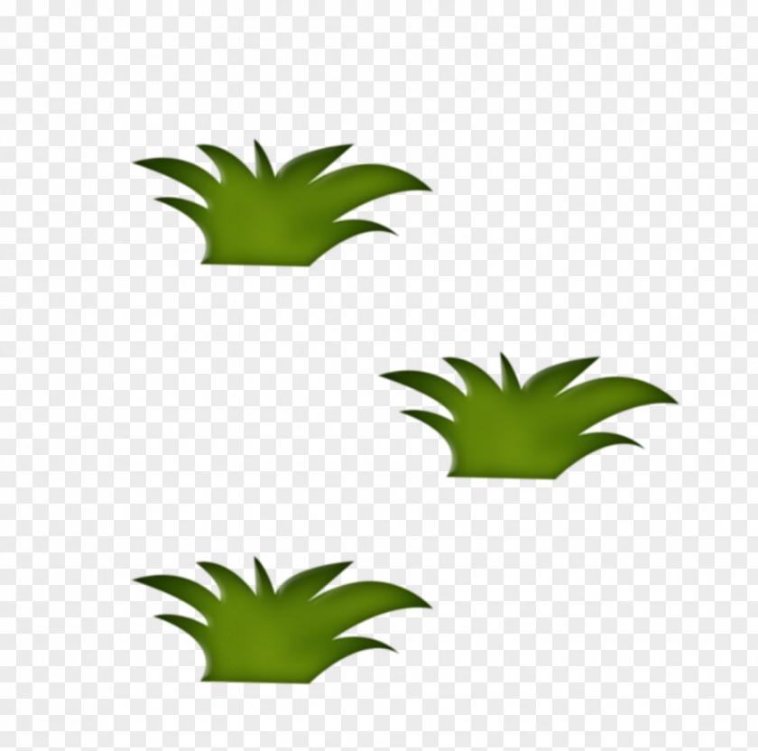 Artificial Grass Herbaceous Plant Stem Clip Art PNG