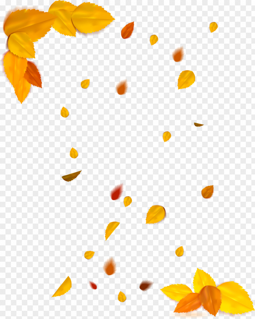 Autumn Vector Graphics Leaves Image PNG