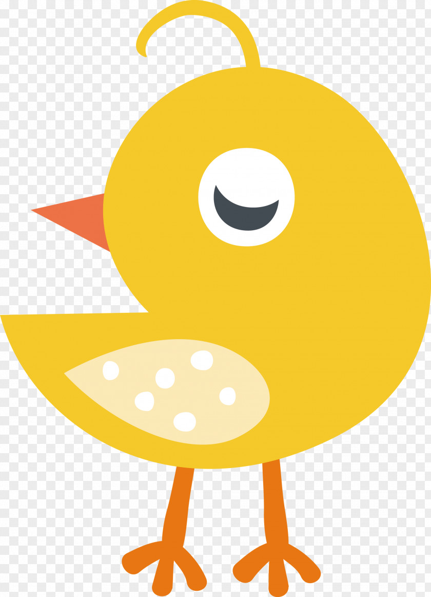 Beak Ducks Water Bird Birds Cartoon PNG