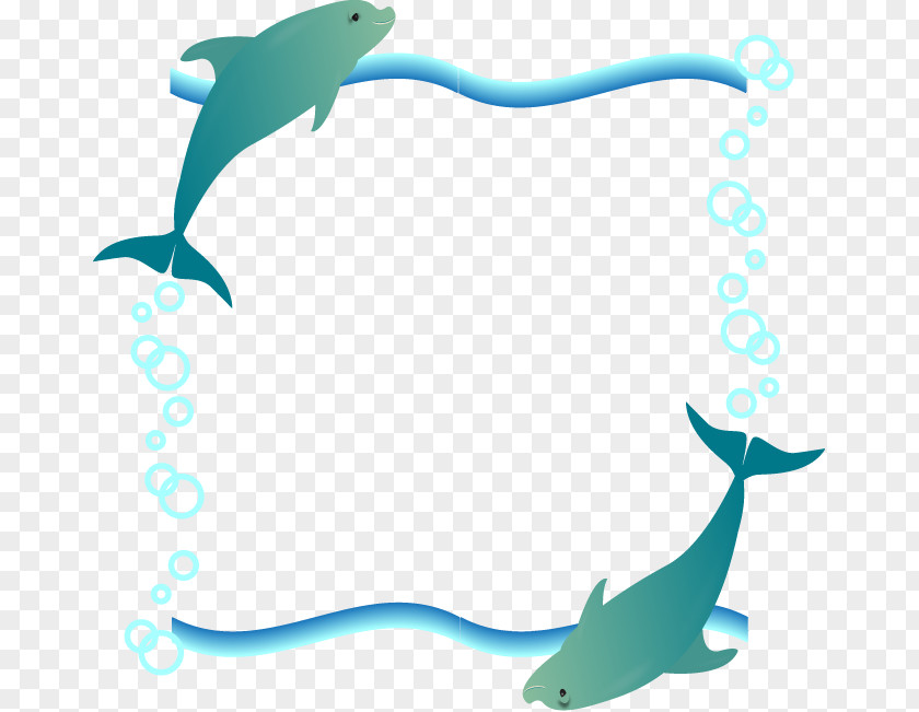 Dolphin Frame. PNG