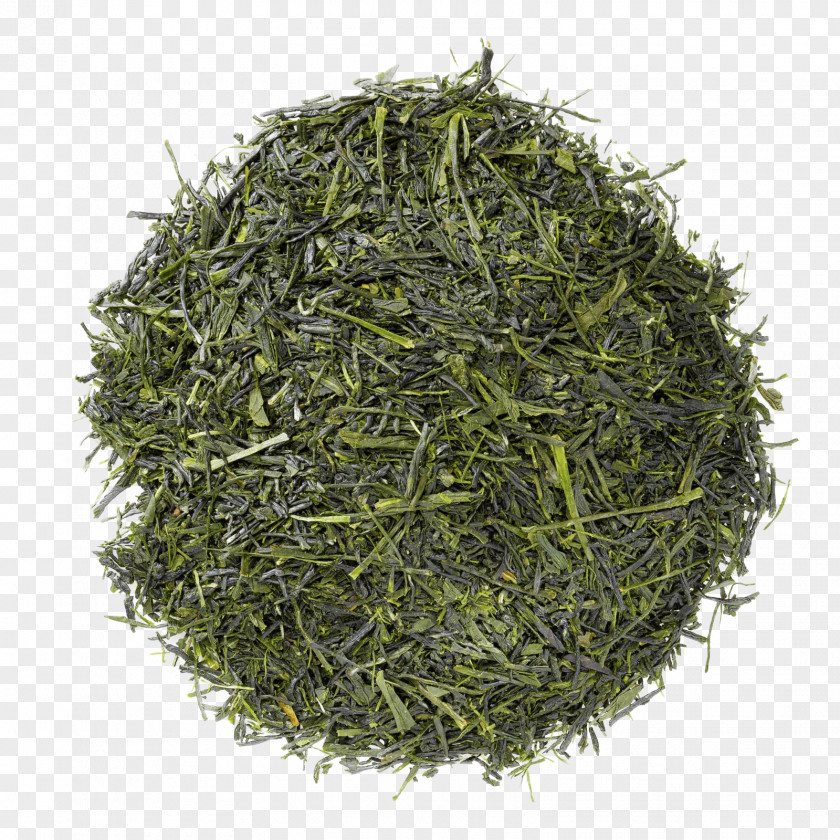 Onion Scallion Herb Gyokuro Tea PNG