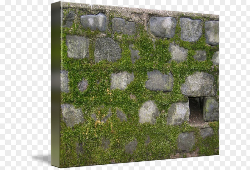 Painting Moss Stone Wall Art Mural PNG