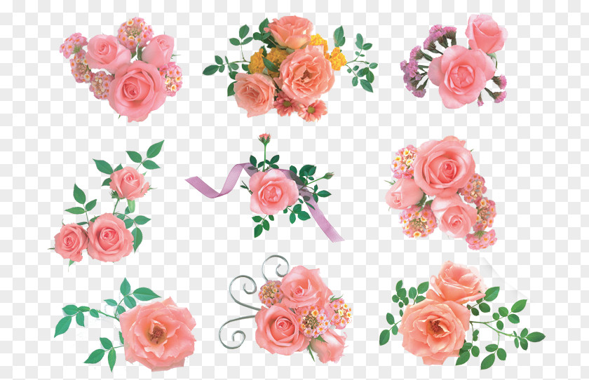 Rose Garden Roses Pink Flower Bouquet PNG