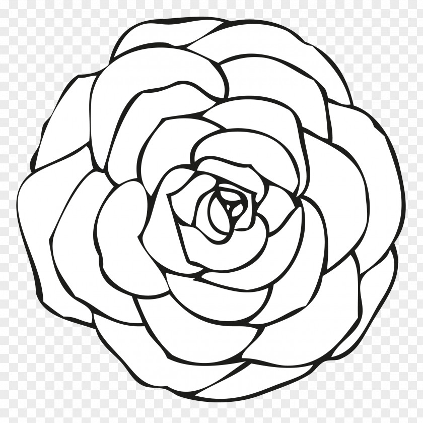 Rose Coloring Book Drawing Flower PNG
