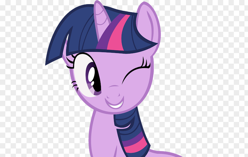 Top Vector Twilight Sparkle Pinkie Pie My Little Pony PNG