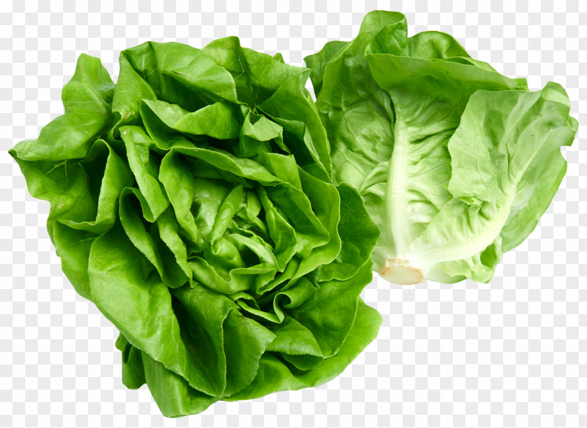 Butterhead Lettuce Iceberg Celtuce European Cuisine PNG