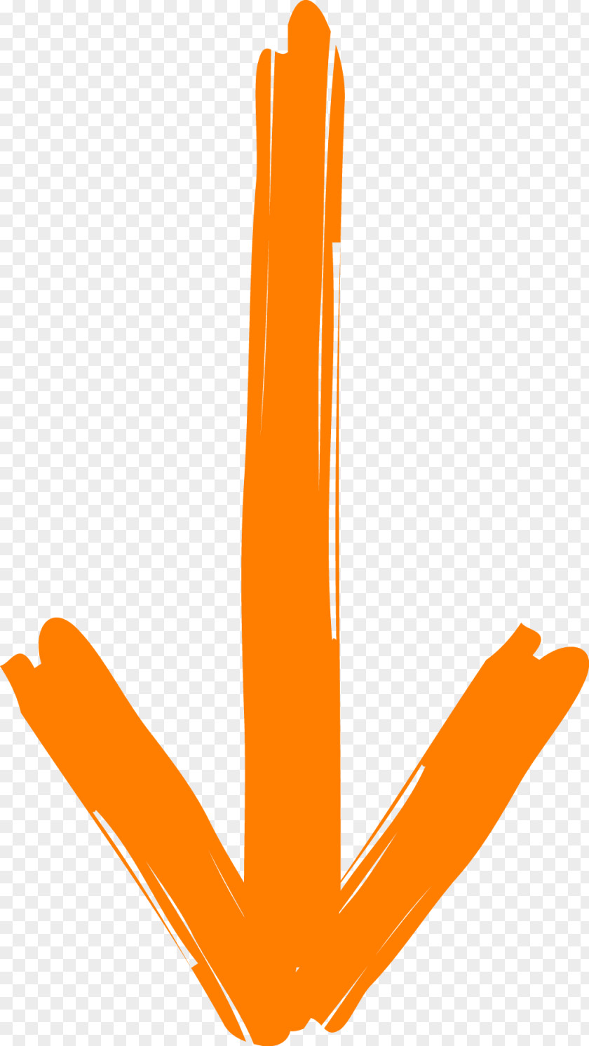 Pfeil Arrow Folgepfeil Orange Clip Art PNG