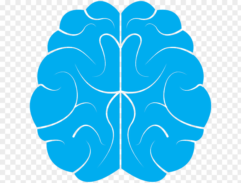 SRIRAM Human Brain Research Neuroscience Opioid Receptor PNG