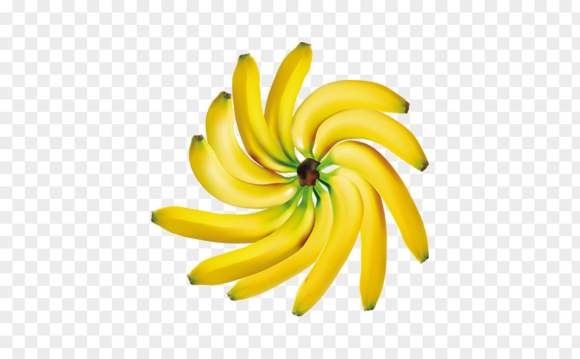 Banana Decorative Corners Fruit Clip Art PNG