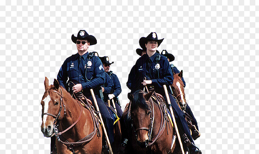 Horse Denver Police Protective Association Rein Mounted PNG