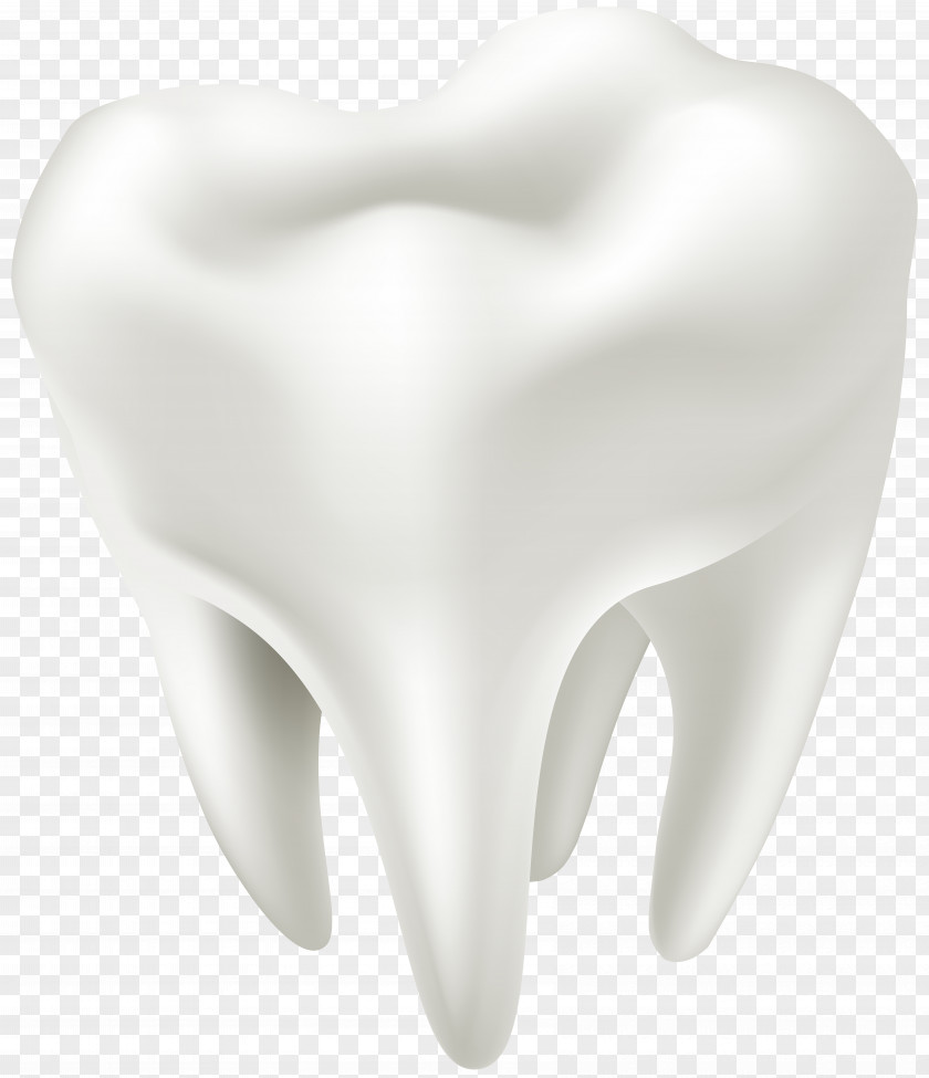 Tooth Human Body Clip Art PNG