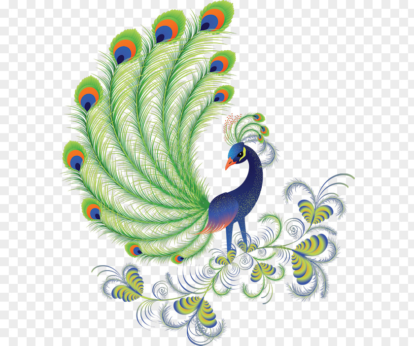 Bird Peafowl Clip Art PNG