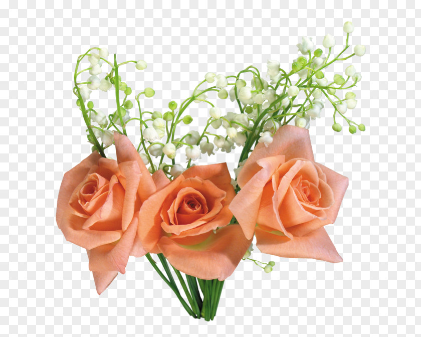 Flower Bouquet Cut Flowers Garden Roses Floral Design PNG