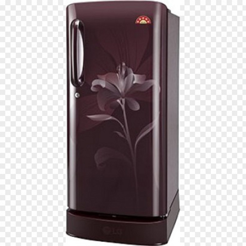 Refrigerator Direct Cool Auto-defrost Door Inverter Compressor PNG