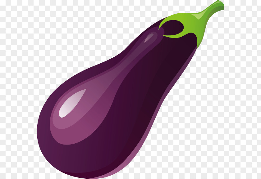 Summer Season Eggplant Vegetable Food PNG