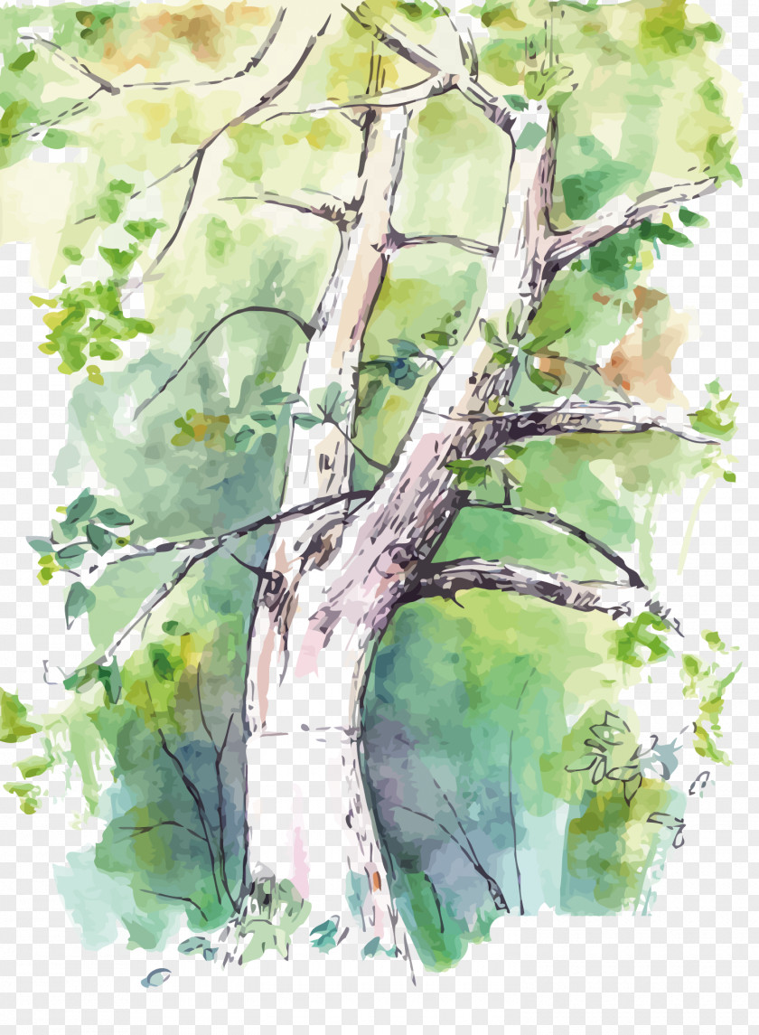 Vector Watercolor Trees Painting Birch Twig Tree PNG