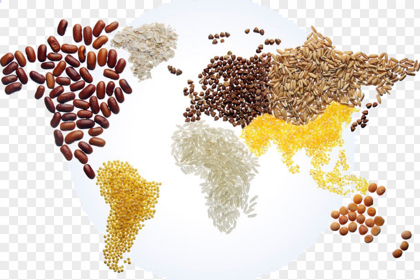 World Map Cereal Food PNG