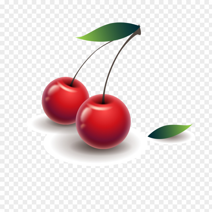 Cherry Pattern Clip Art PNG