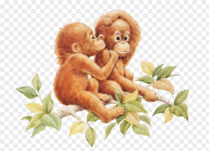 Orangutan Monkey Gorilla Japanese Macaque Clip Art PNG