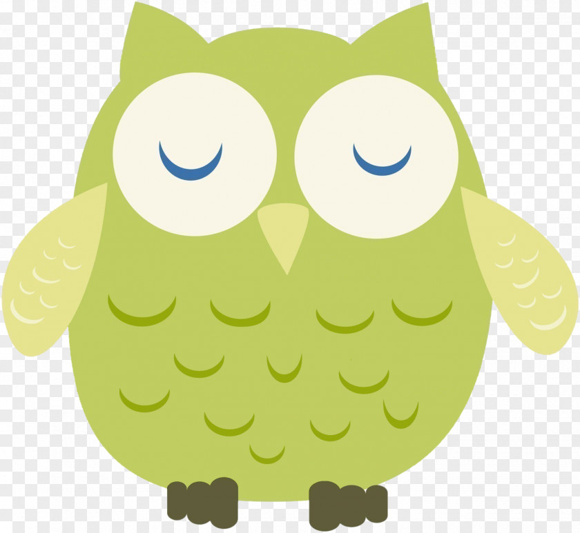 Owls Kristoff Little Owl PNG