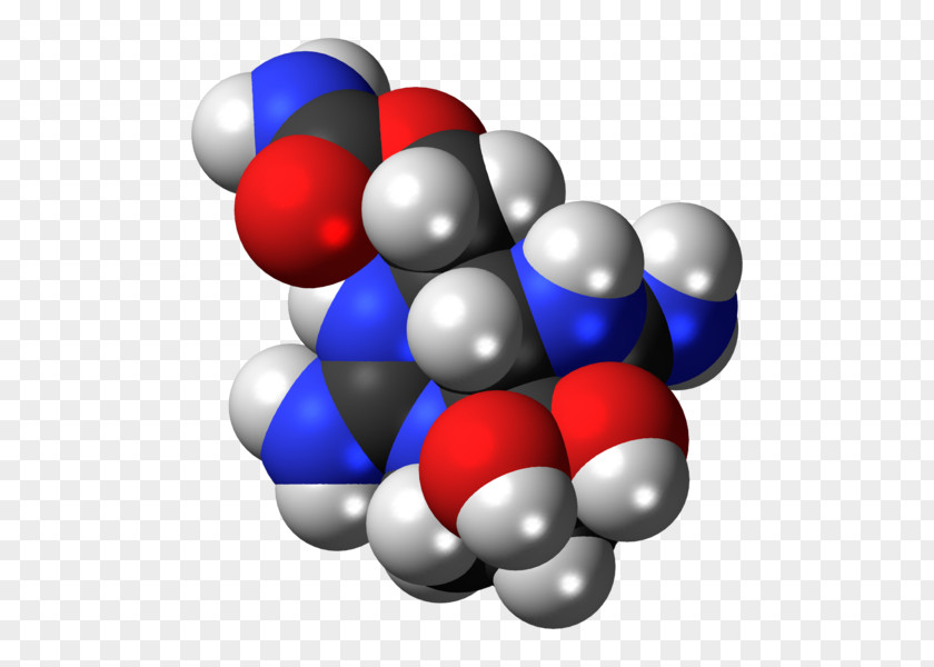 Saxitoxin Paralytic Shellfish Poisoning Neurotoxin Saxidomus PNG