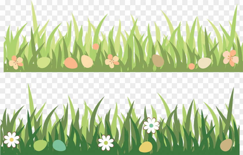 Flower Wheatgrass Green Grass Background PNG