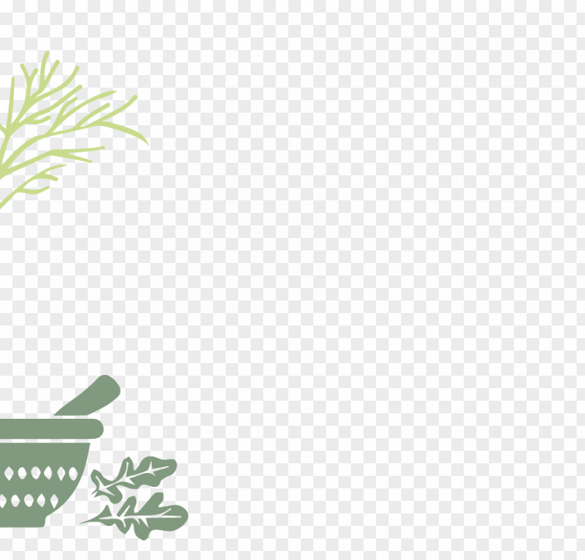 Leaf Desktop Wallpaper Brand Plant Stem PNG