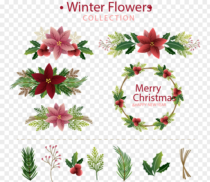 Winter Flowers Collection Flower Floral Design Euclidean Vector Illustration PNG