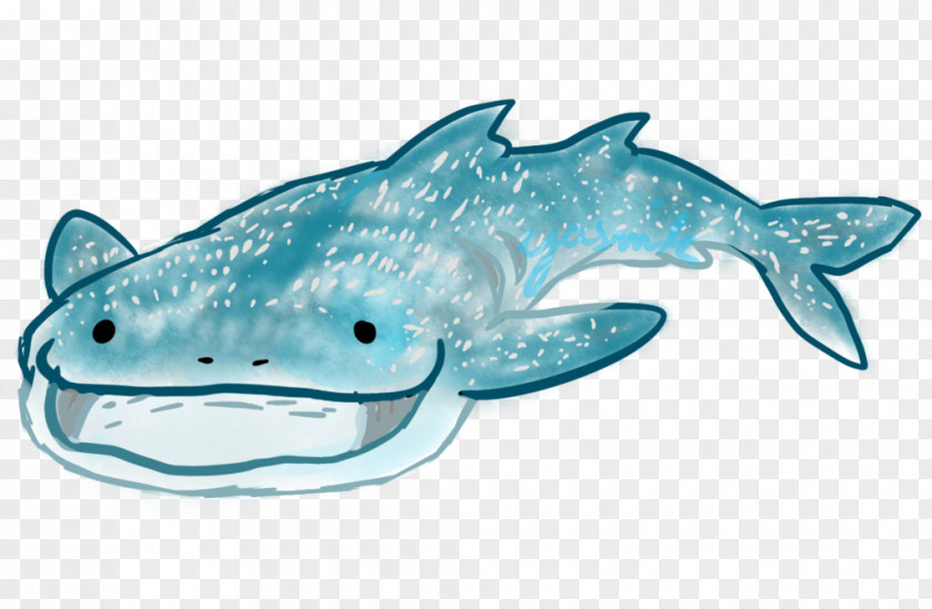 Dolphin Tiger Shark Squaliform Sharks Requiem PNG