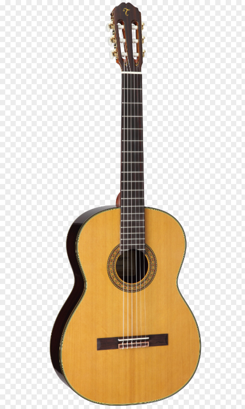 Electric Guitar C. F. Martin & Company Acoustic D-28 PNG