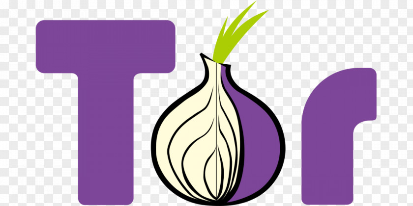 Onion Tor Browser Routing Web Dark PNG